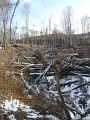 120_ev_120_km_Szentlelek_112