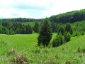 20120609-Bukk-fensik-TT-25-111