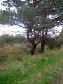20120929-Magashegy-TT-100