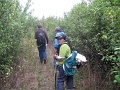 20120929-Magashegy-TT-106