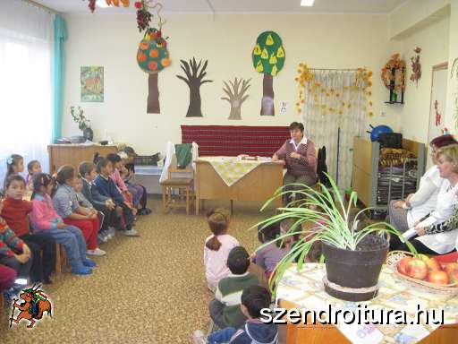 20121117-Egeszseghet-110.JPG