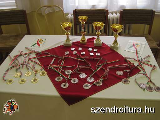 20121117-Egeszseghet-139.JPG