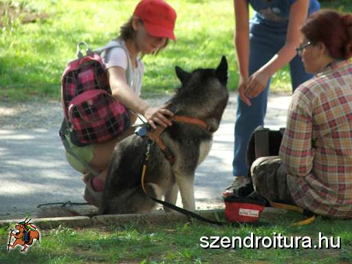 7-Vitezlo-2012-album-0532.JPG