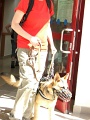 7-Vitezlo-2012-album-0476