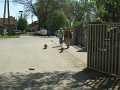 7-Vitezlo-2012-album-0495