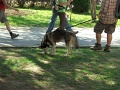 7-Vitezlo-2012-album-0529