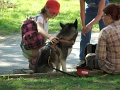 7-Vitezlo-2012-album-0532