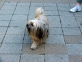 7-Vitezlo-2012-album-0579