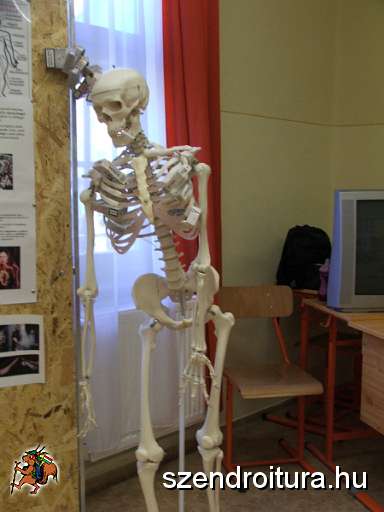 7-Vitezlo-2012-album-0619.JPG