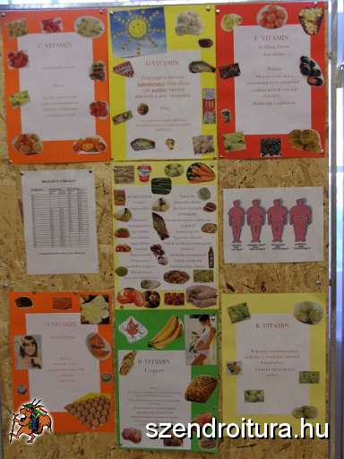 7-Vitezlo-2012-album-0622.JPG