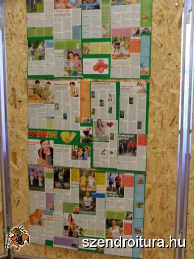 7-Vitezlo-2012-album-0624.JPG