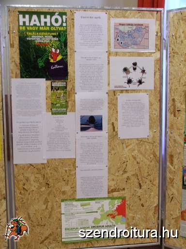 7-Vitezlo-2012-album-0625.JPG