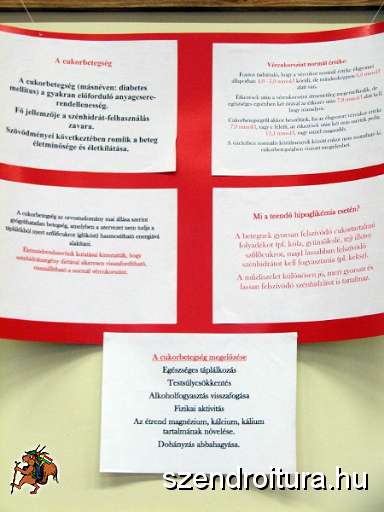 7-Vitezlo-2012-album-0629.JPG