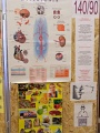 7-Vitezlo-2012-album-0621