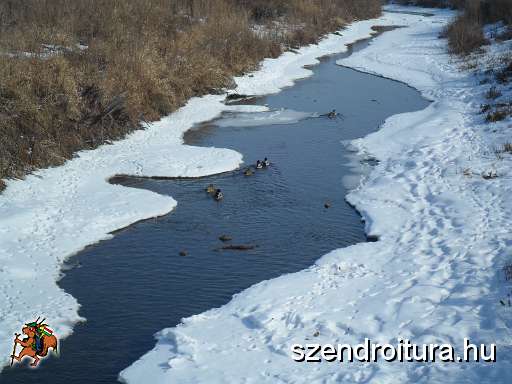 Barcika_TT_25B_104.jpg