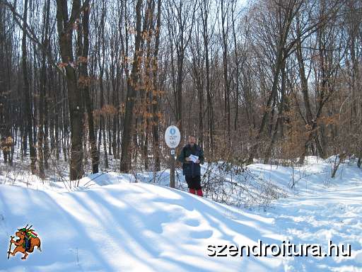 Barcika_TT_25B_106.jpg