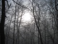 Barcika_TT_25B_102