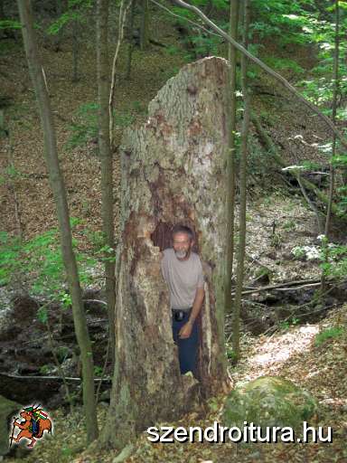 Bukk-50-tt-2012-05-06-101.JPG