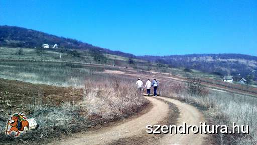 Jelzesfestes-terepbejaras-vitezlore-103.jpg