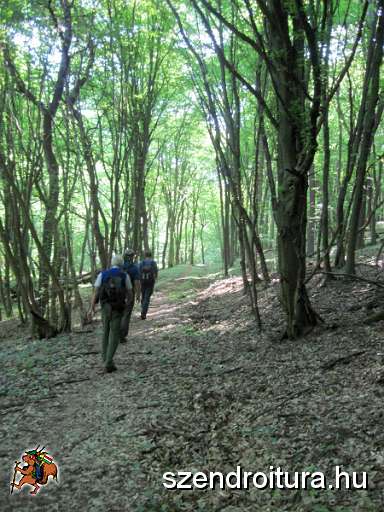 Karszt-25-TT-2012-05-13-100.JPG