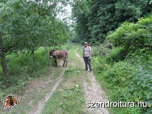 106-Kohaszok-utja.JPG