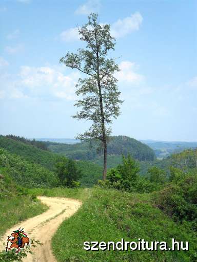 109-Kohaszok-utja.JPG