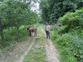 106-Kohaszok-utja