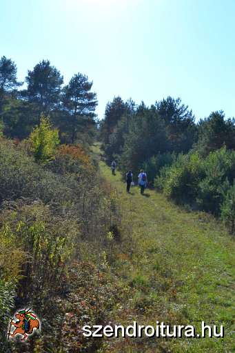 Szkgy-2012-102.jpg