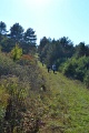 Szkgy-2012-102