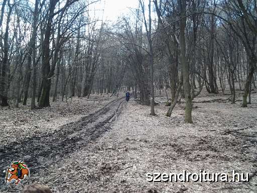 8-vitezlo-2013-lipoc-021.jpg