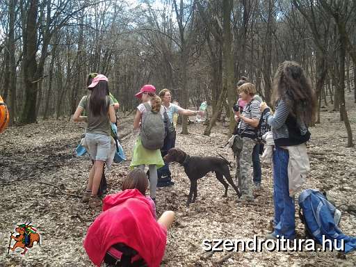 8-vitezlo-2013-lipoc-026.jpg