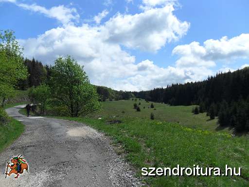 107-bukk-50-tt.JPG