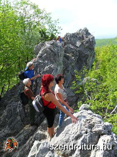 5-bukki-forrasok-2013.JPG