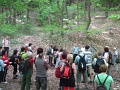 2-bukki-forrasok-2013