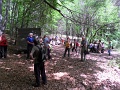 4-bukki-forrasok-2013