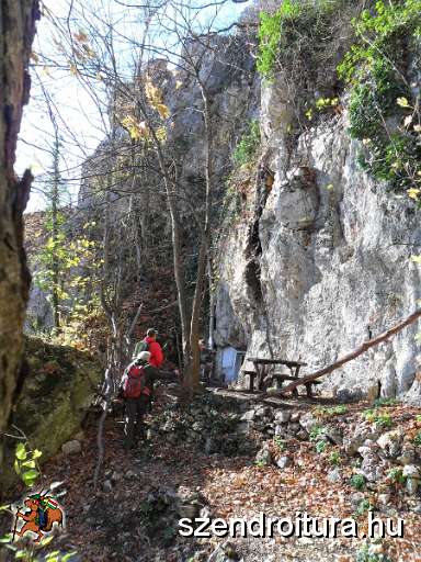 109-Fonagysagtol-Loposkoig.JPG