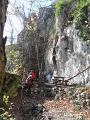 109-Fonagysagtol-Loposkoig