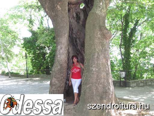 Odessa.JPG