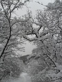 08-nepek-tavasza-tt