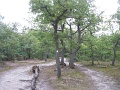 109-OKT-Dobogoko-2013-09-23-24