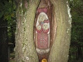 116-OKT-Dobogoko-2013-09-23-24