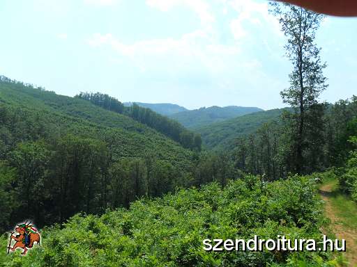 103-Ozdi-Kohasz-TT-25-20130622.JPG