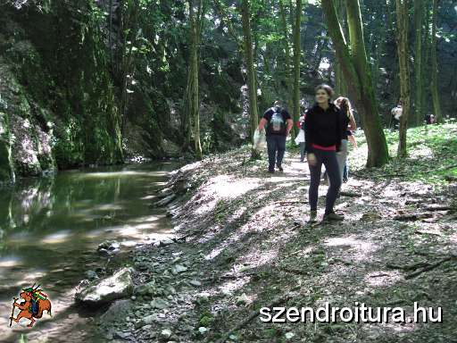 102-Szederinda-tabor-2013-07-04.JPG