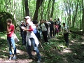 101-Szederinda-tabor-2013-07-04
