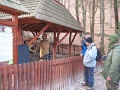 103-Szilvasvarad-20131204