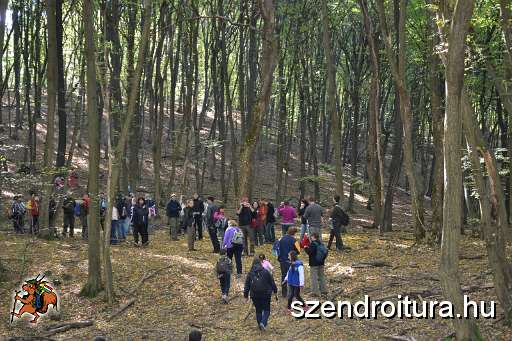 107-Szkgy-20131005.JPG
