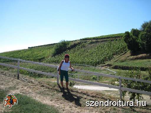 104-Tokaji-Bortura-2013-09-10.JPG