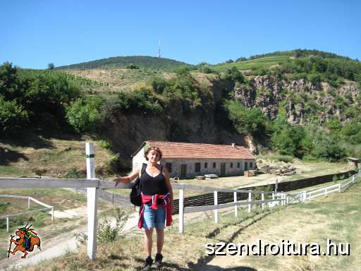 105-Tokaji-Bortura-2013-09-10.JPG