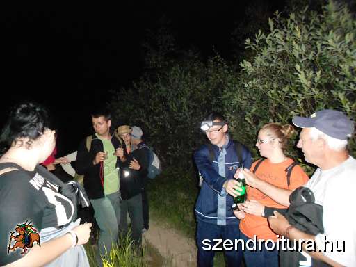 104-Ejszakai-tura-20140627.JPG