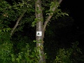 102-Ejszakai-tura-20140627